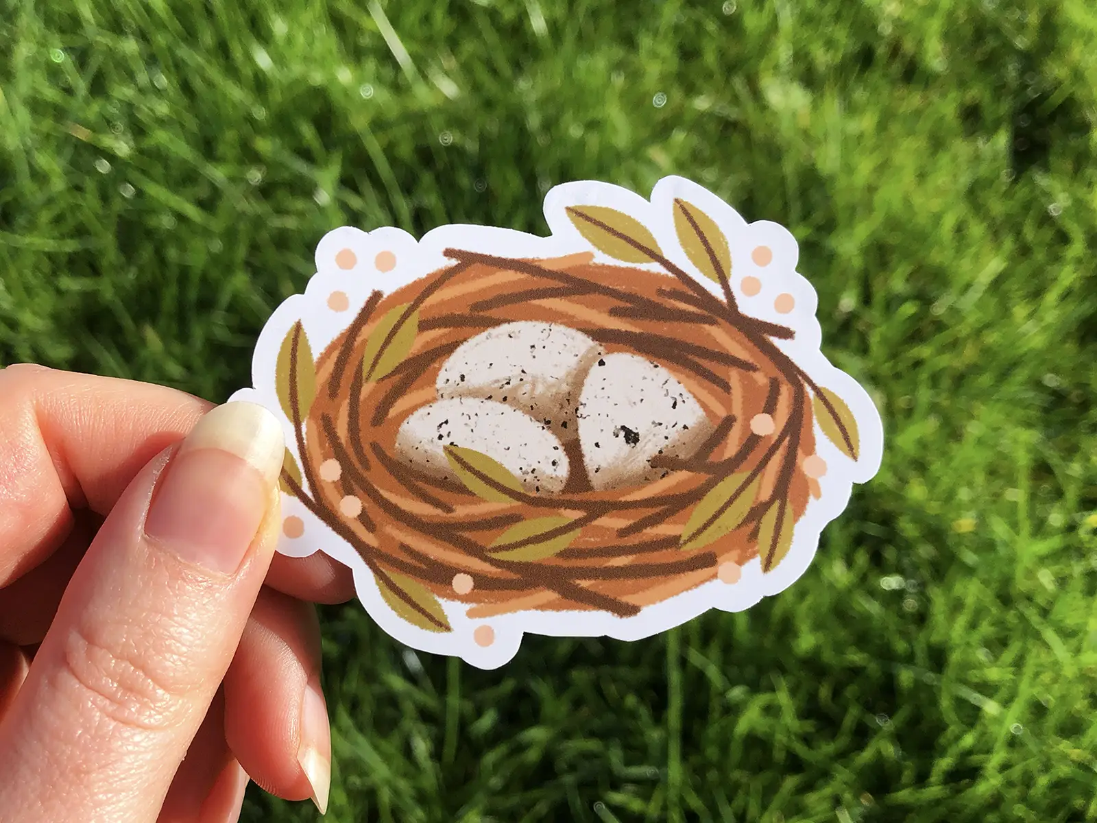 Neat Lil Nests Sticker